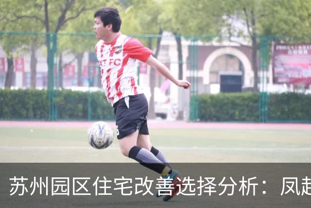 苏州园区住宅改善选择分析：凤起潮鸣的优势与局限